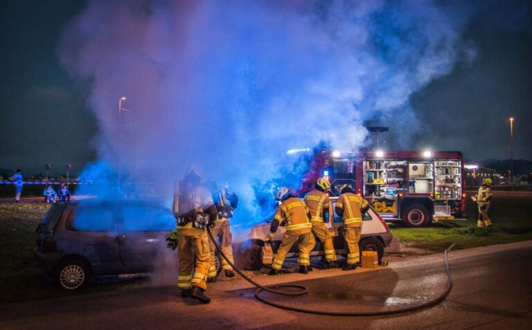Povzetek dela CZR Domžale med 20. decembrom 2018 in 20. januarjem 2019