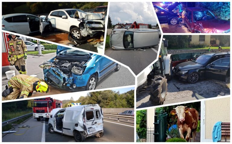 Povzetek dela CZR Domžale med 20. junijem in 20. avgustom 2018