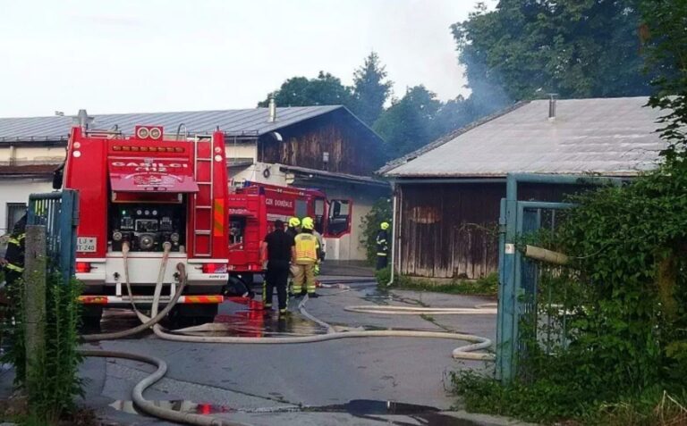 Zagorelo v zapuščenem lesenem skladišču v Domžalah