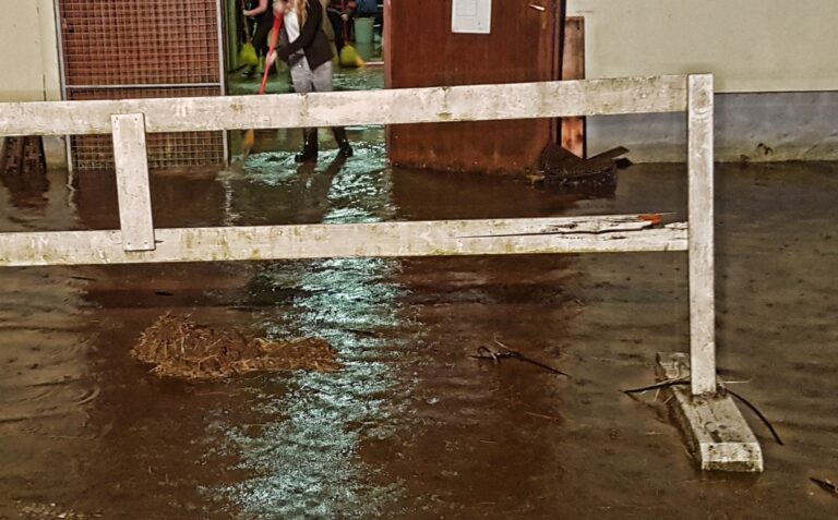 Meteorna voda zalila konjski hlev v Depali vasi