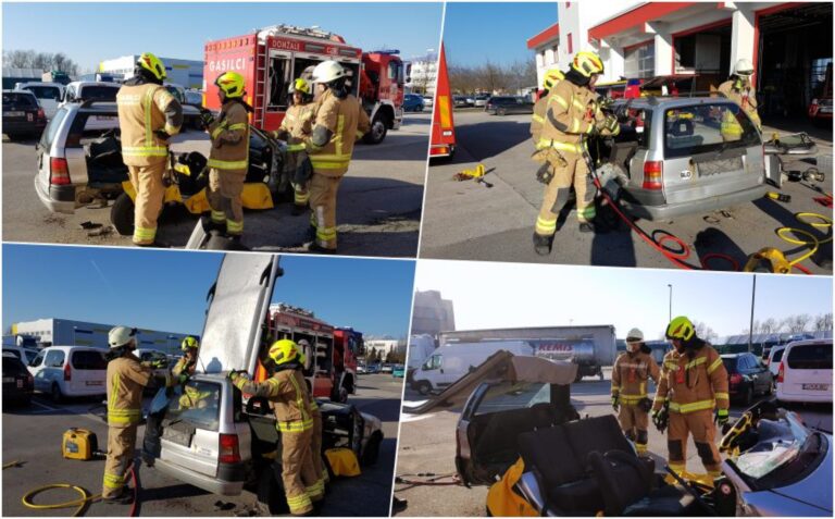 Povzetek dela CZR Domžale med 20. januarjem 2018 in 15. februarjem 2018